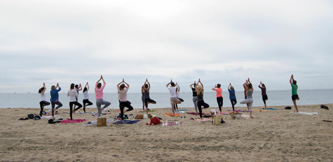 actualites-aout-yogagogo Cours de Yoga sur la plage